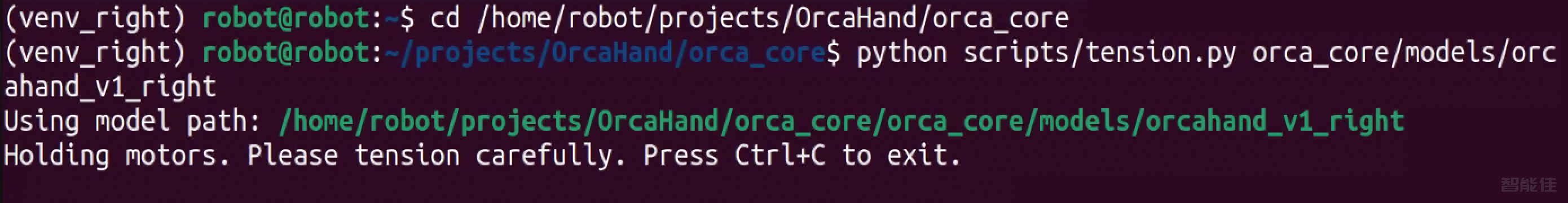 right_Orca Hand-3.png