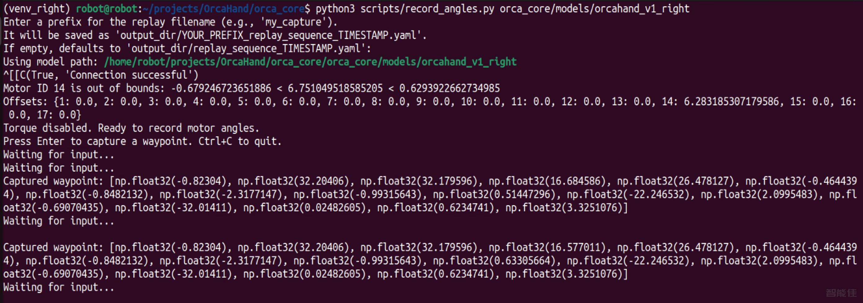 right_Orca Hand-20.png
