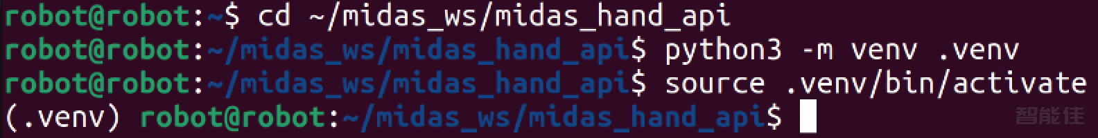 midas-1.png